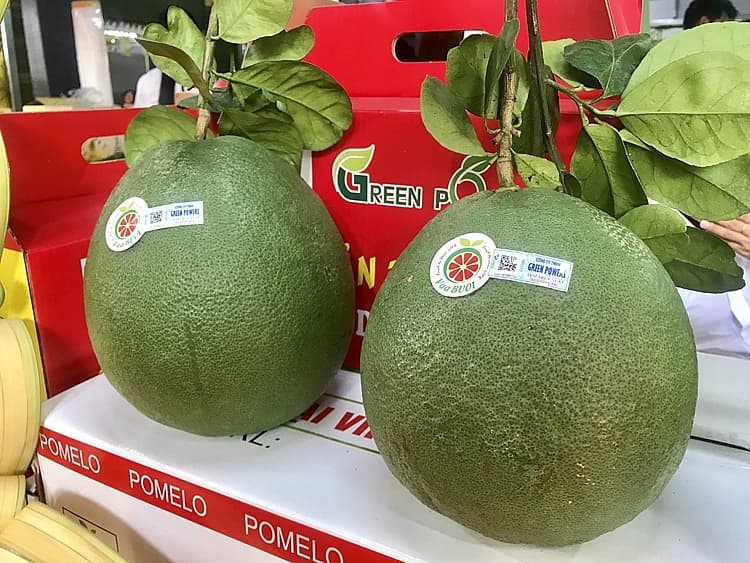 Latest export news