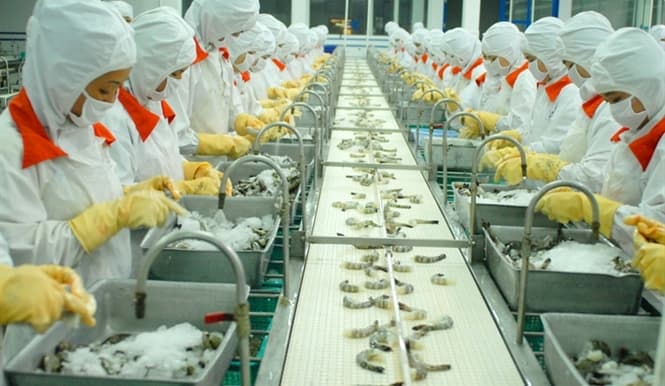 Latest export news