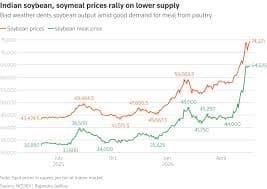 Soymeal exports are likely to halve as price rally on lower output