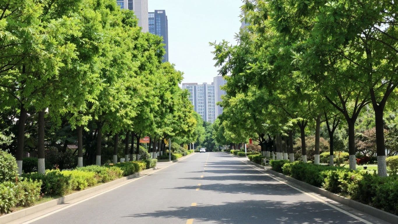 Cityscape with road leading to horizon, symbolizing growth.